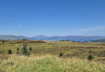 Aussicht von einem Hügel auf den See