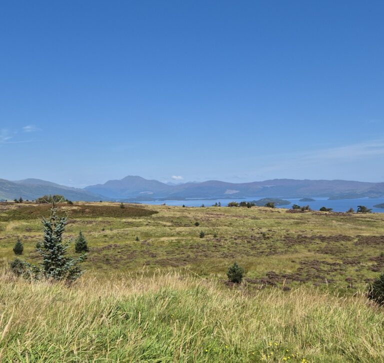 Aussicht von einem Hügel auf den See