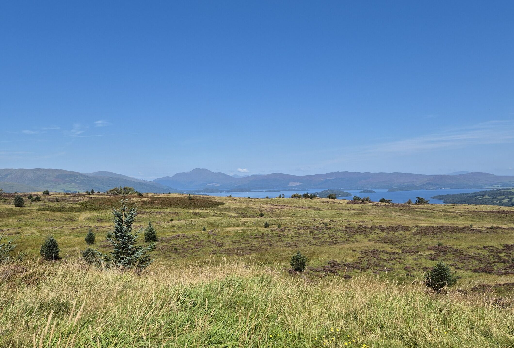 Erlebe magische Orte in Schottland Teil 1: Balloch