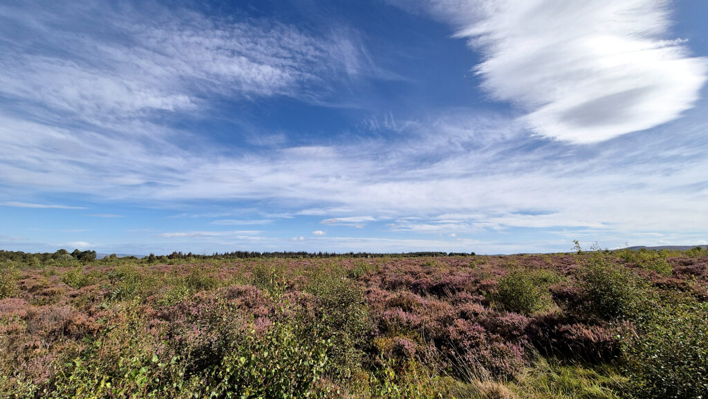 Battlefield of Culloden