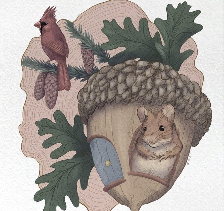 Illustration einer Eichel als Häuschen, In ihr lebt eine kleine Maus. Im Hintergrund ist ein Kardinal auf Koniferenzweigen zu sehen. Die Illustration ist freistehend.