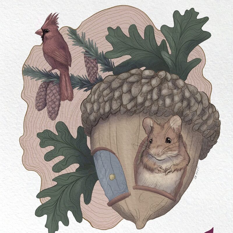 Illustration einer Eichel als Häuschen, In ihr lebt eine kleine Maus. Im Hintergrund ist ein Kardinal auf Koniferenzweigen zu sehen. Die Illustration ist freistehend.